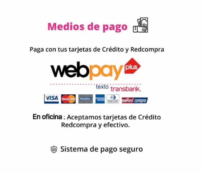 2 Dormitorios Metro La Moneda Apartamento Santiago